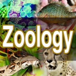 MSc Zoology Distance Education from VMU